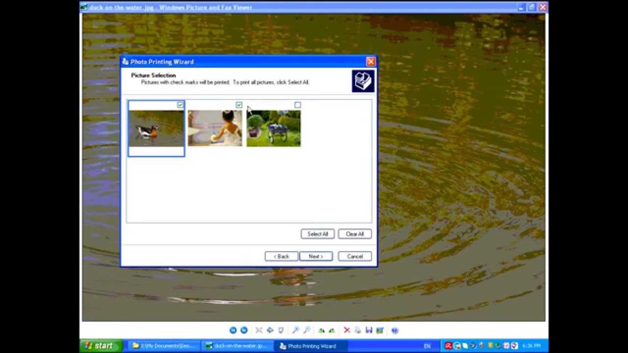 picture viewer for windows